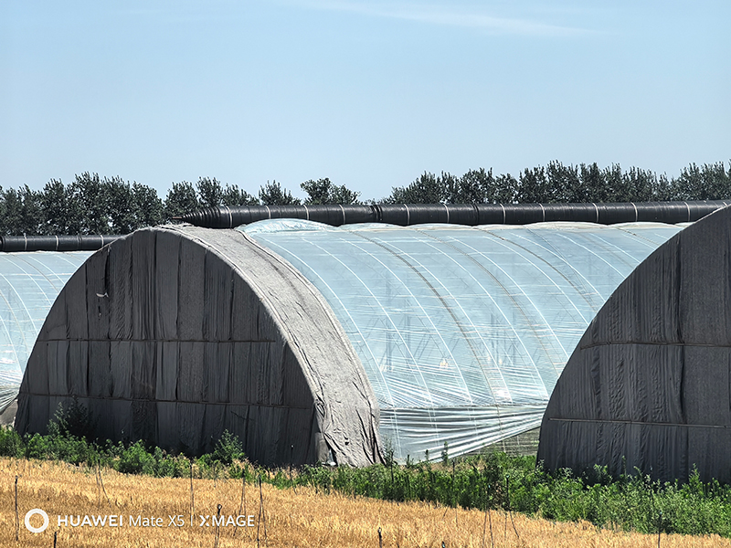Теплица с цельностальным каркасом