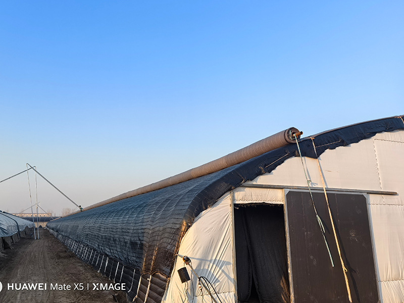 Теплица с цельностальным каркасом