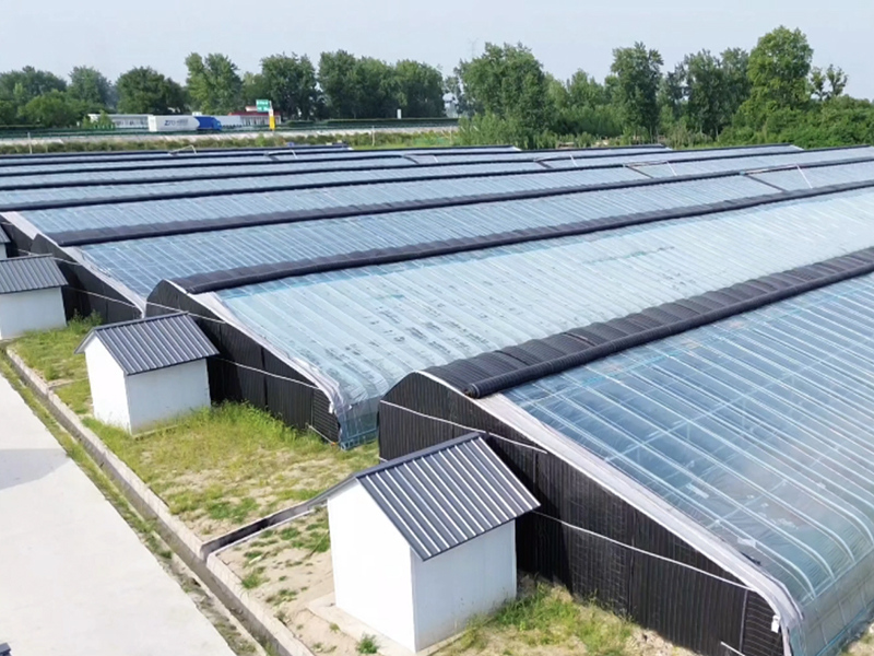 Теплица с кирпич/глинобитными стенами