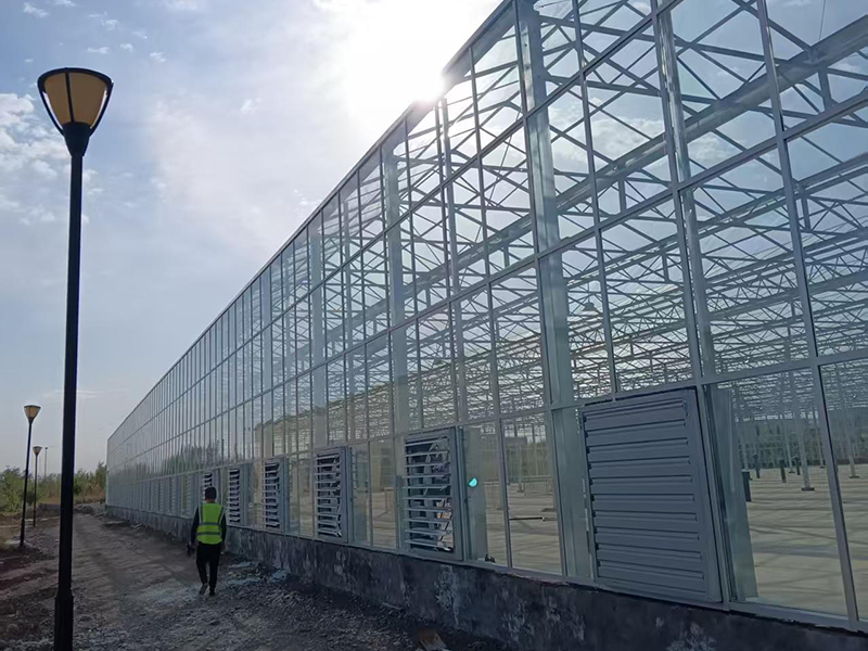 Интеллектуальная стеклянная теплица