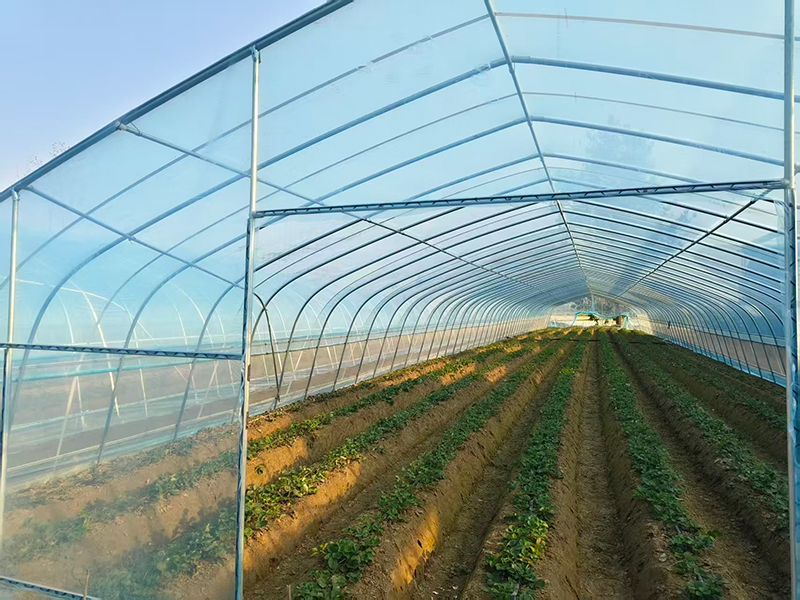 Весенне — осенний холодный теплица