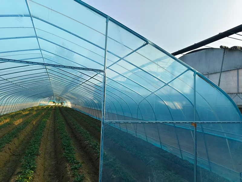 Весенне — осенний холодный теплица