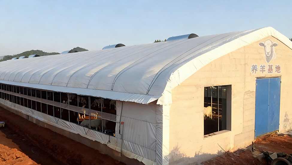 Заказать сарай для овец и открыть новую страницу Русского овцеводства