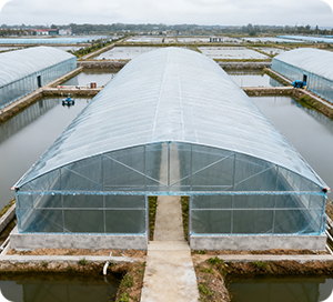 Теплица для аквакультуры