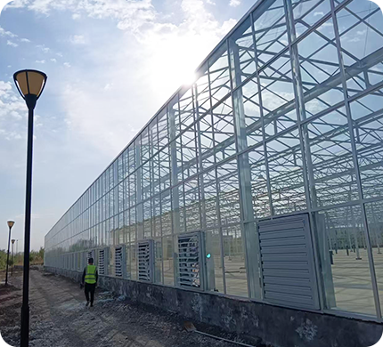 Интеллектуальная стеклянная теплица