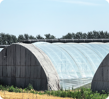 Теплица с цельностальным каркасом