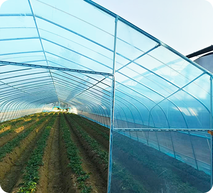 Весенне - осенний холодный теплица